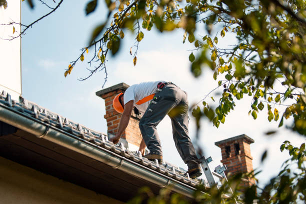 Best Roof Gutter Cleaning  in Sonora, TX